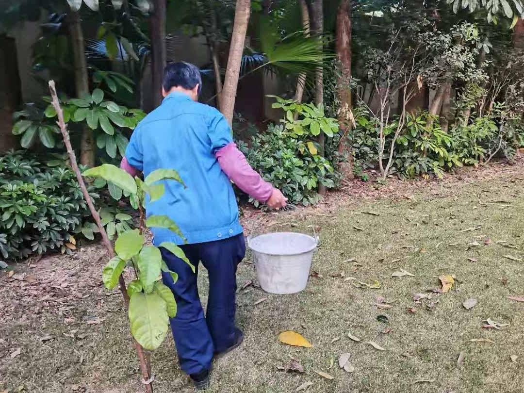 园林菲律宾网赌合法平台中苗木的施肥
