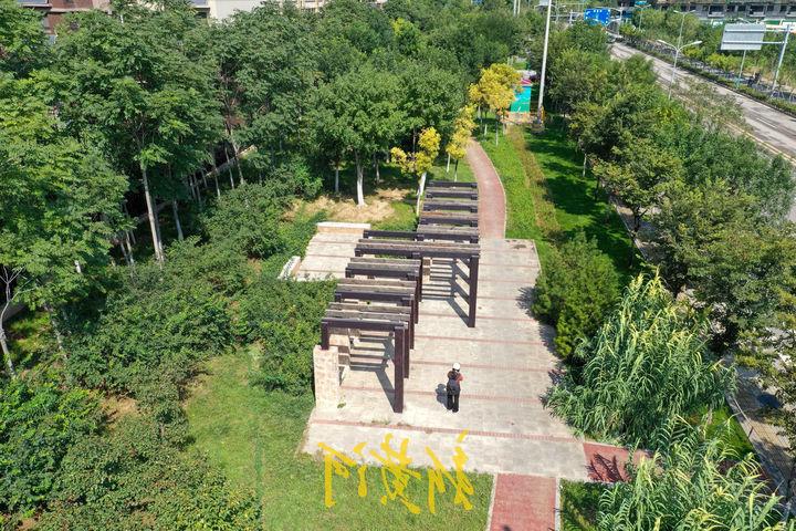 山东济南将打造“推窗见绿、出门进园”的绿化特色街区
