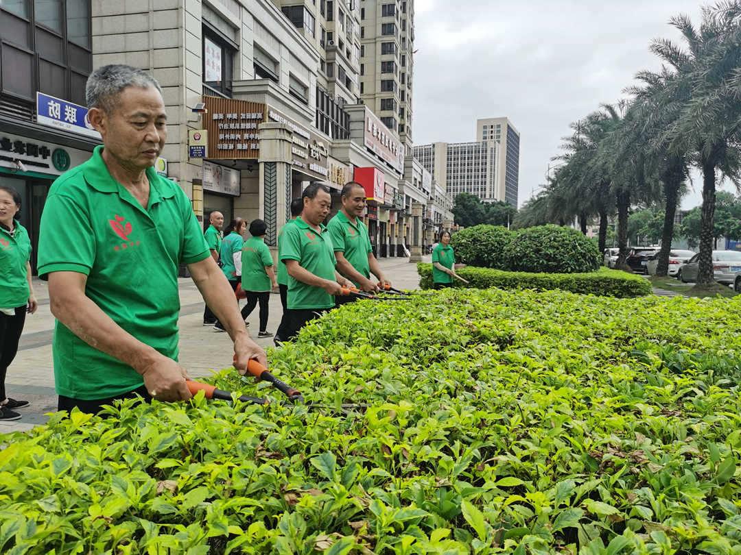 菲律宾网赌合法平台工人正在修建绿化带灌木